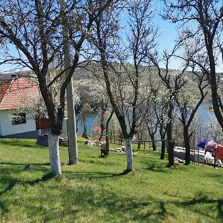 Uvac Griffon Villa Nova Varoš Esterno foto