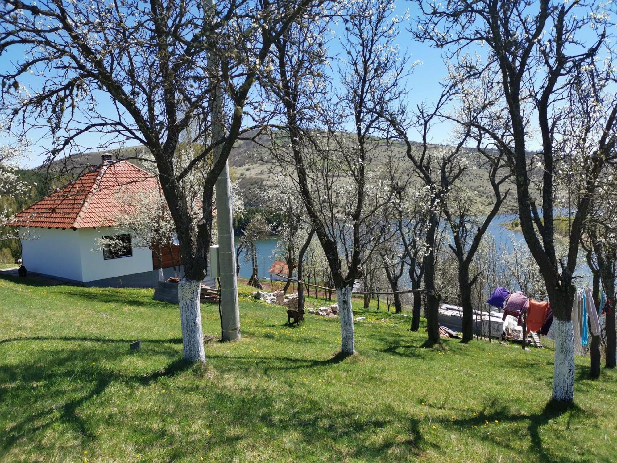 Uvac Griffon Villa Nova Varoš Esterno foto