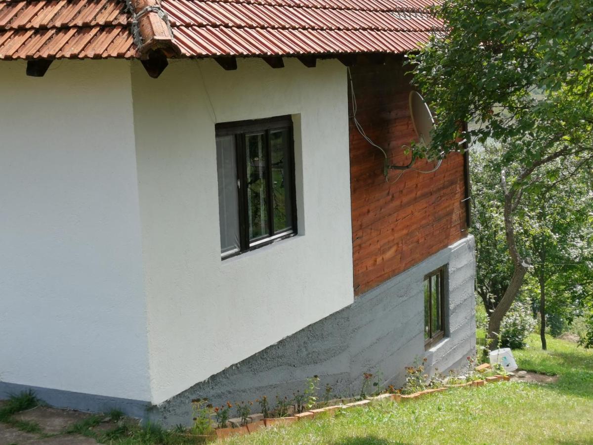 Uvac Griffon Villa Nova Varoš Esterno foto