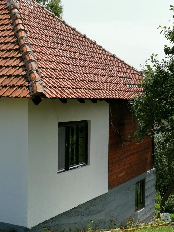 Uvac Griffon Villa Nova Varoš Esterno foto