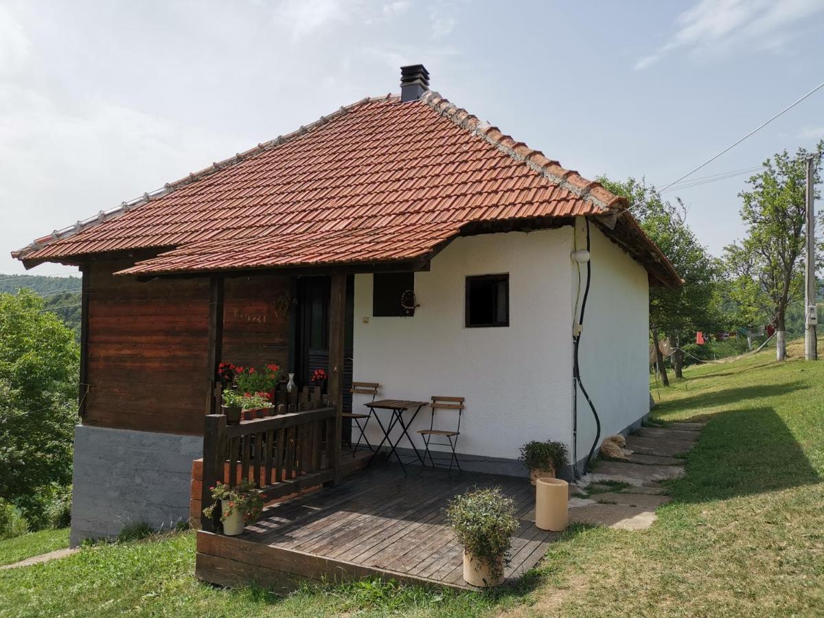 Uvac Griffon Villa Nova Varoš Esterno foto