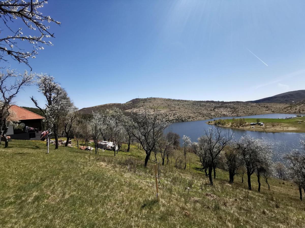 Uvac Griffon Villa Nova Varoš Esterno foto